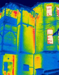 Termowizja Dla Firmy